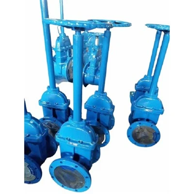 Buried Slab Gate Valve