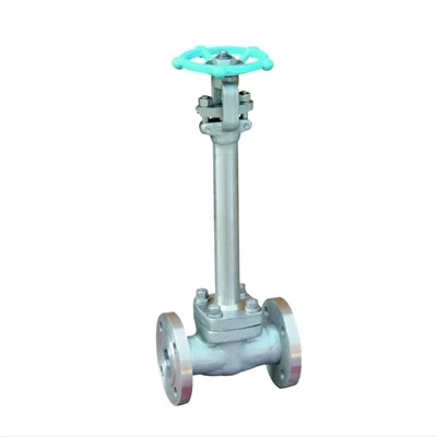 Cryogenic Slab Gate Valve