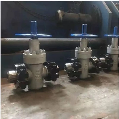 Ferrule Flat Gate Valve